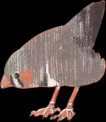 Another zebra finch with head down, obstructing the view. Wait, it is wearing thread sandals. The other bird is also wearing sandals. So stylish.