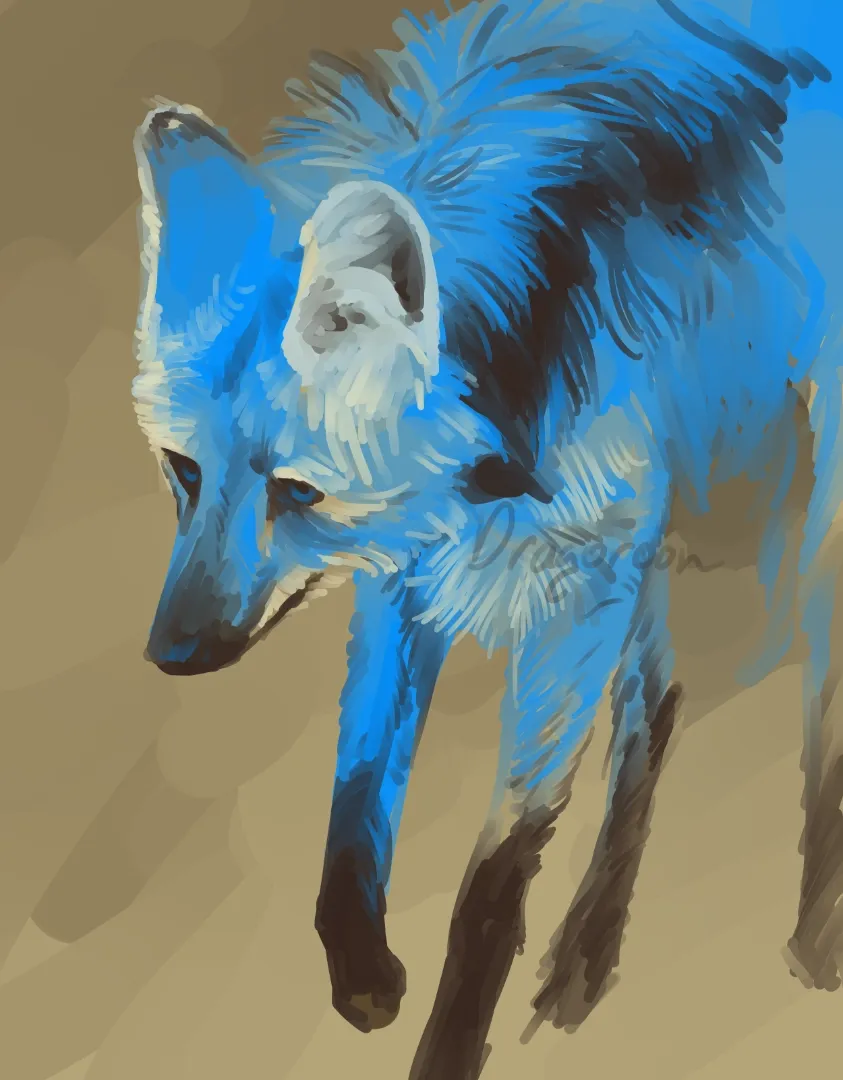 A coyote with sky blue fur