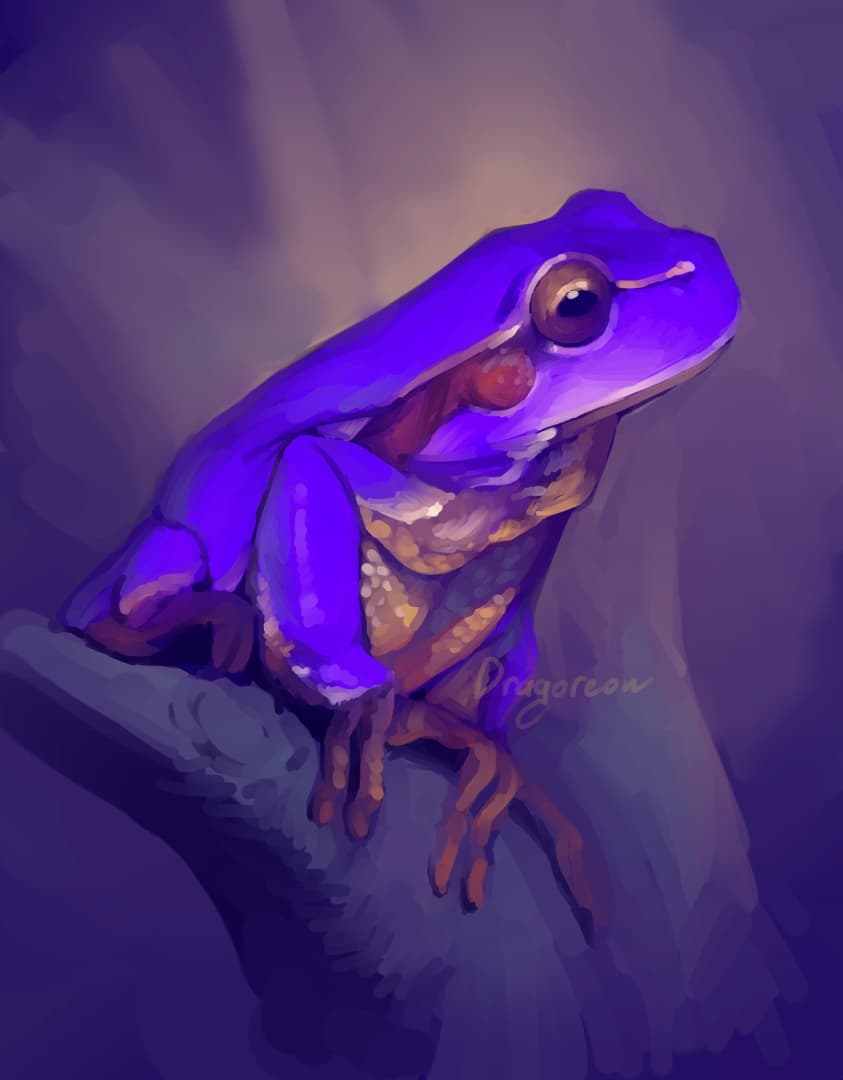 A purple frog on a branch